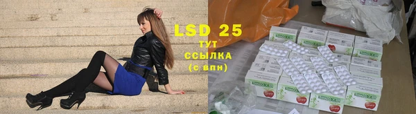 стафф Елабуга