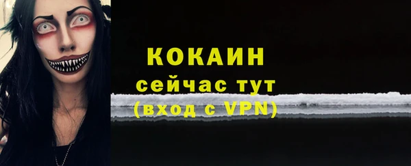 прущая мука Ельня