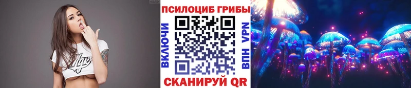 Купить где  Вятские Поляны  Галлюциногенные грибы Psilocybe 